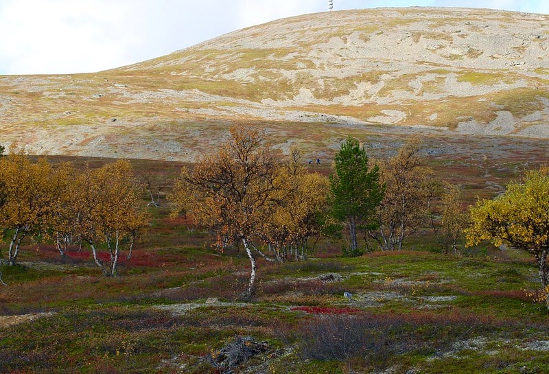 Maadoittuminen merkitys ja parantavat vaikutukset Maadoittuminen harjoitukset ja kokemuksia Ihmisen maadoitus Luonnon elementit Maa Maadoittuminen kirja