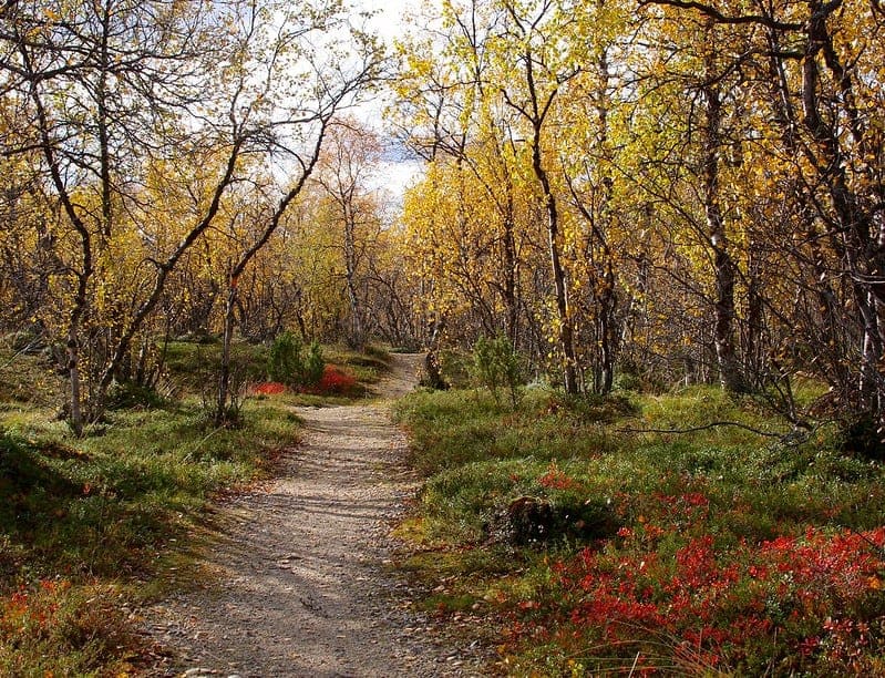Maadoittuminen merkitys ja parantavat vaikutukset Maadoittuminen harjoitukset ja kokemuksia Ihmisen maadoitus Luonnon elementit Maa Maadoittavia kuvia