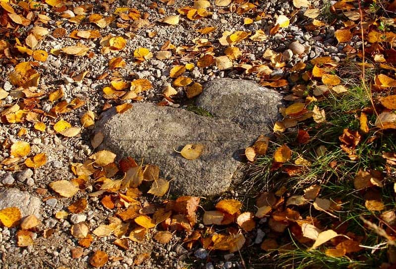 Maadoittuminen merkitys ja parantavat vaikutukset Maadoittuminen harjoitukset ja kokemuksia Ihmisen maadoitus Luonnon elementit Maa