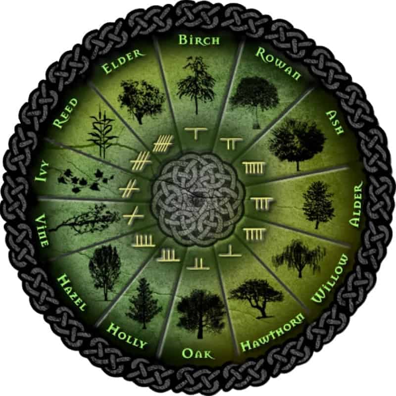 Kelttiläinen puuhoroskooppi Druidien horoskooppi Ogham merkit symbolit Kelttiläinen astrologia horoskoopit