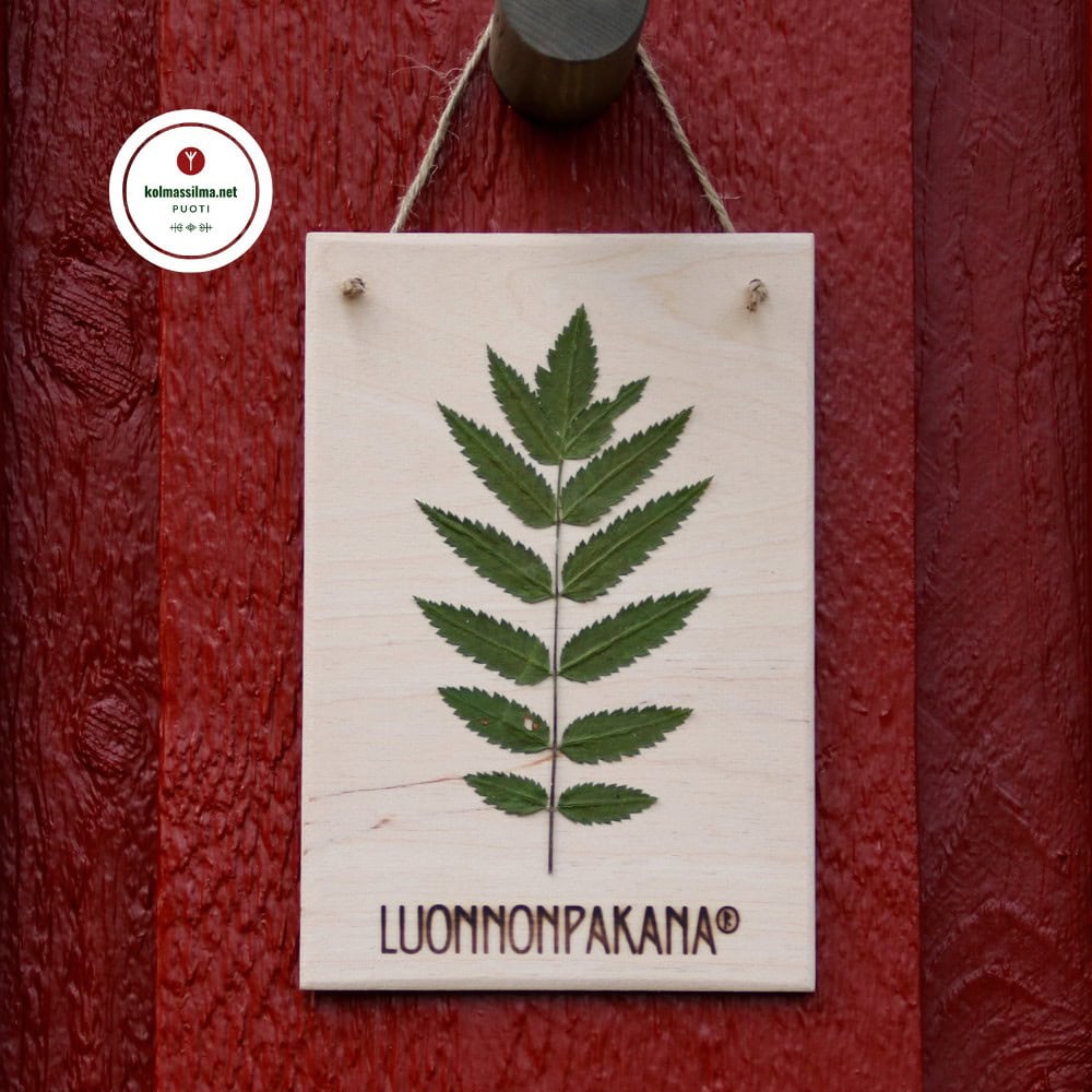 Luonnonpakana® Puutaulu Kotipihlaja Pihlajanlehti sisustustaulu Puinen pikkutaulu Käsintehdyt suomalaiset sisustustuotteet Pihlaja pyhä puu merkitys
