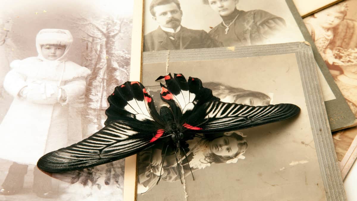 Yhteys esivanhempiin Sukupolvien taakkasiirtymä Esivanhemmat Esivanhempityöskentely Karjalaiset itkuvirret Äänellä itkeminen