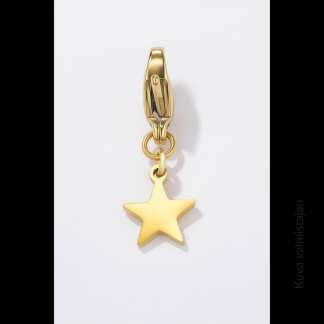 ÉLINE L'ATELIER Charmi Tähti kultaista terästä